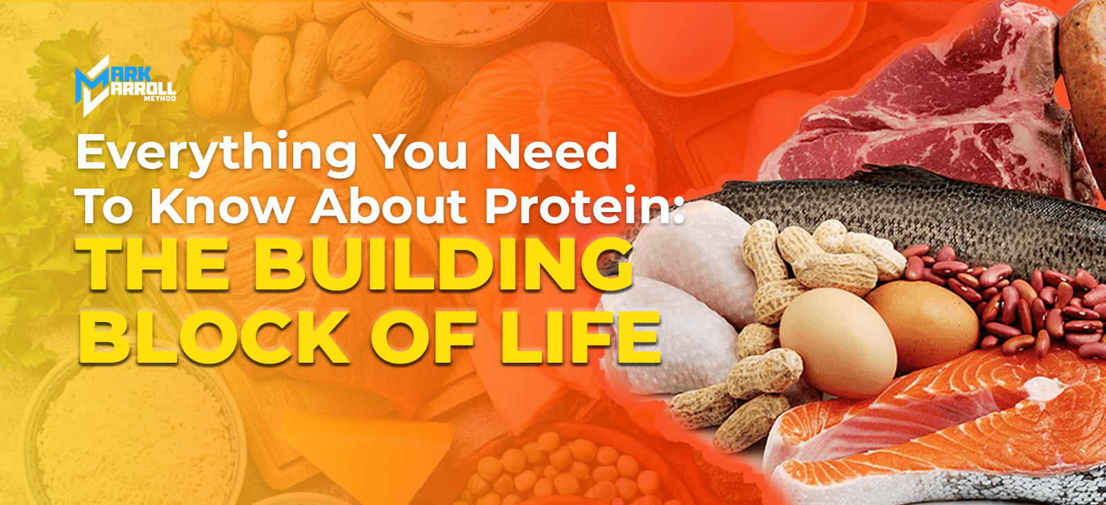 Everything You Need to Know About Protein: The Building Block of Life -  Coach Mark Carroll